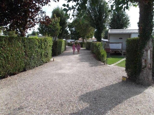 Photo du Camping Camping de la Motte -  