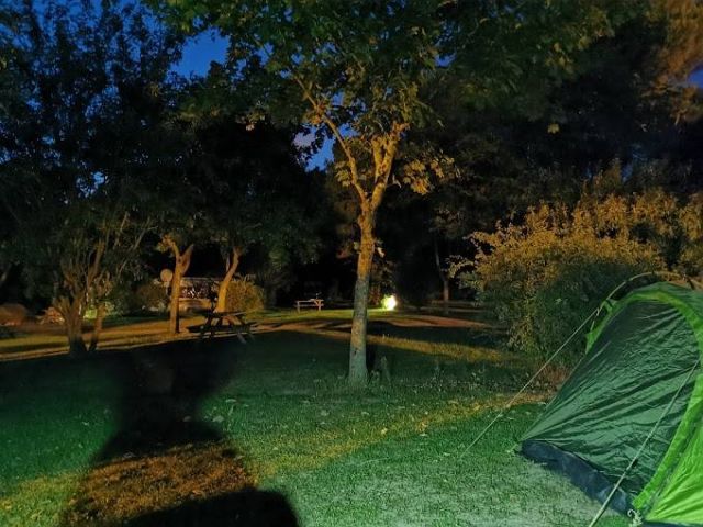 Photo du Camping La Pinède -  